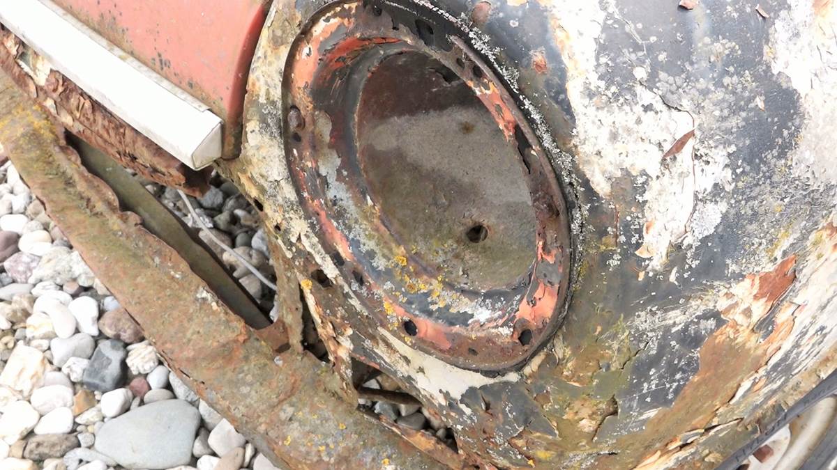 Goran iz Mrčajevac (4).jpg