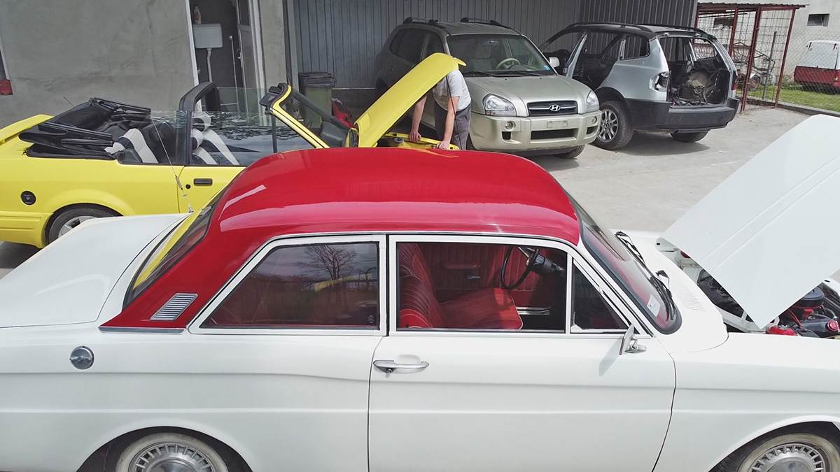 Goran iz Mrčajevac (7).jpg