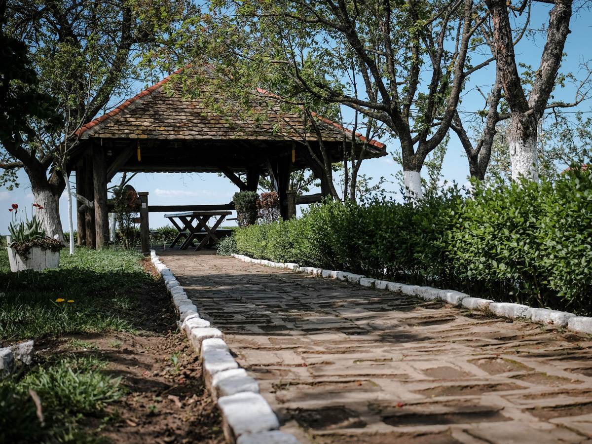 Dejan iz Zemlje živih počeo je da se kocka sa samo 11 godina