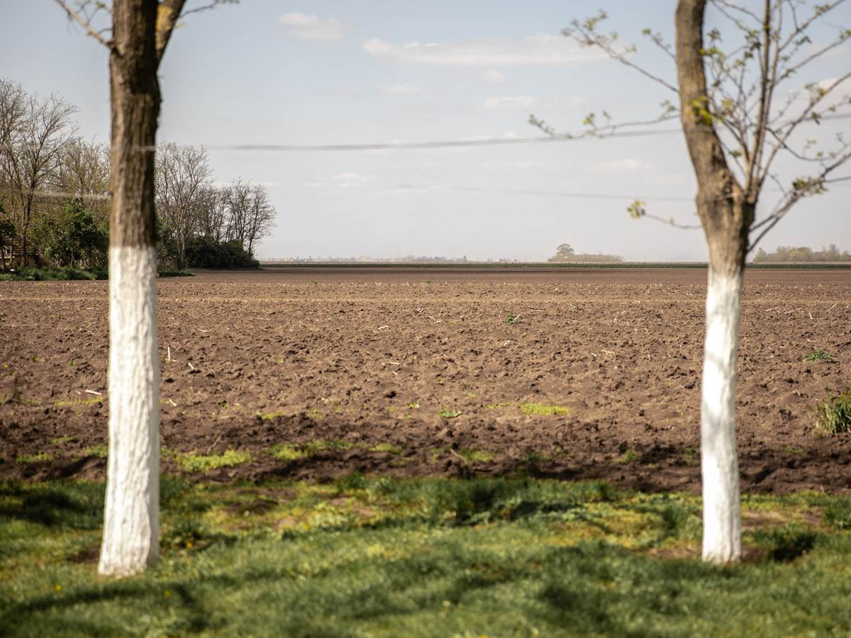 Dejan iz Zemlje živih počeo je da se kocka sa samo 11 godina