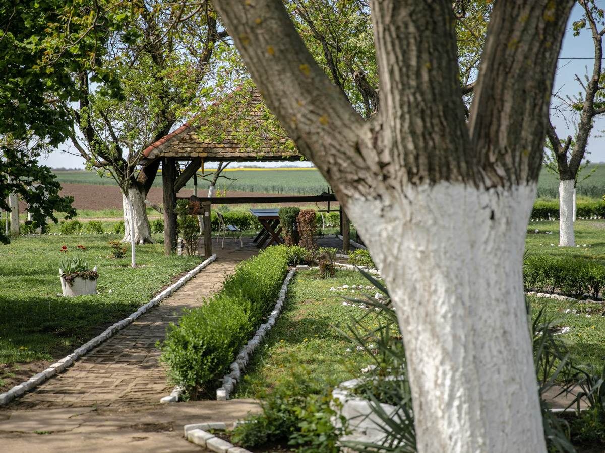 Dejan iz Zemlje živih počeo je da se kocka sa samo 11 godina