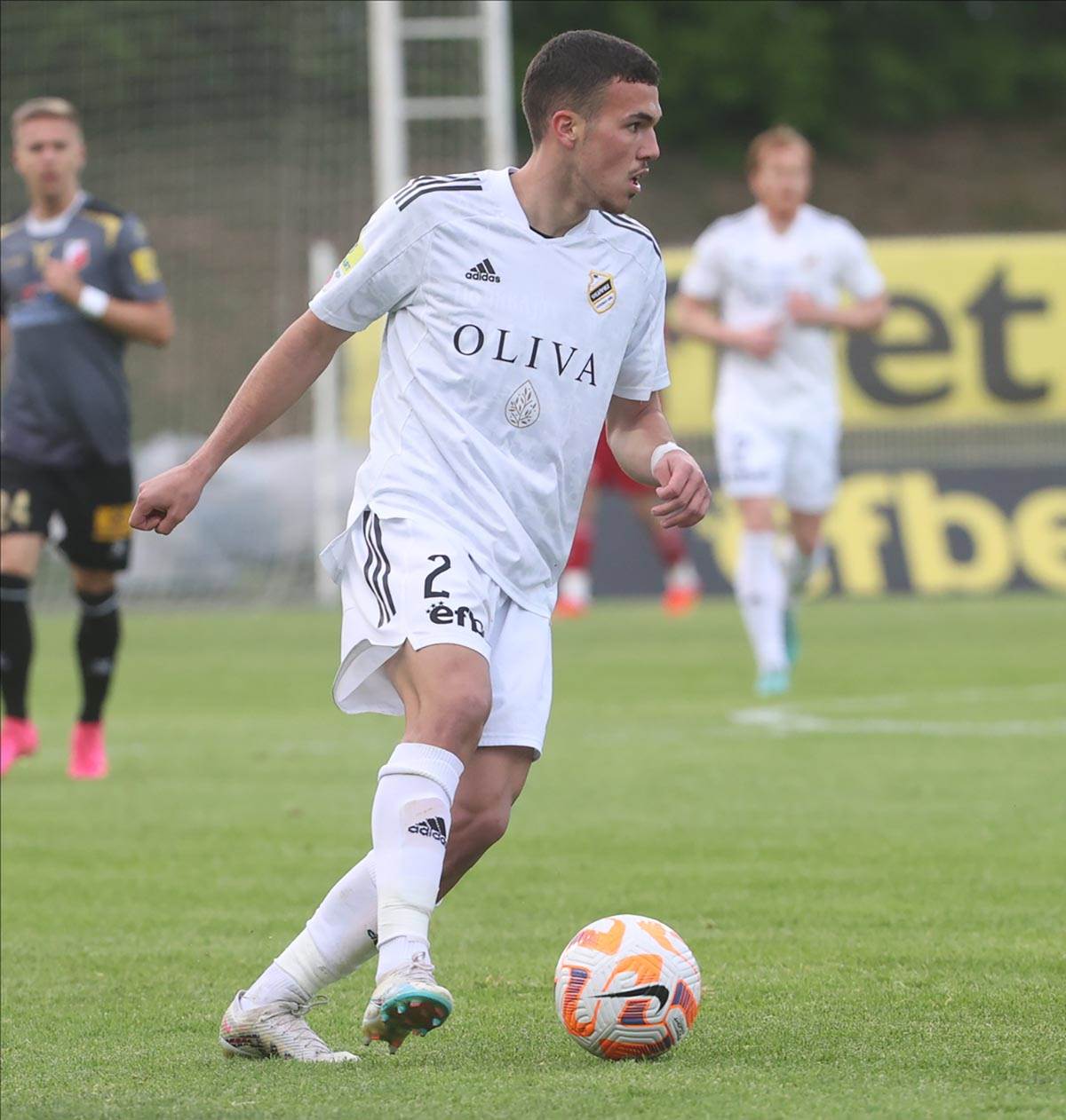 Čukarički Vojvodina (4).jpg