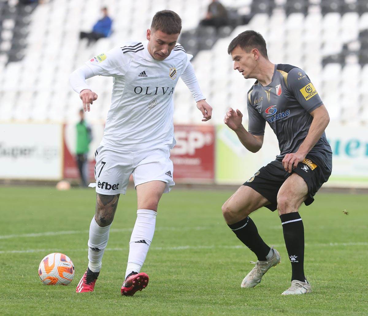 Čukarički Vojvodina (6).jpg