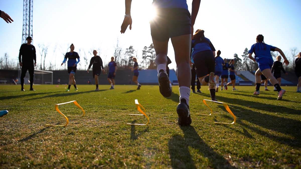 Subotica živi 3.jpg