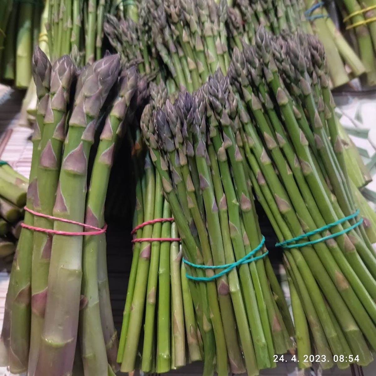 radmila i radiša andrejić (3).jpg