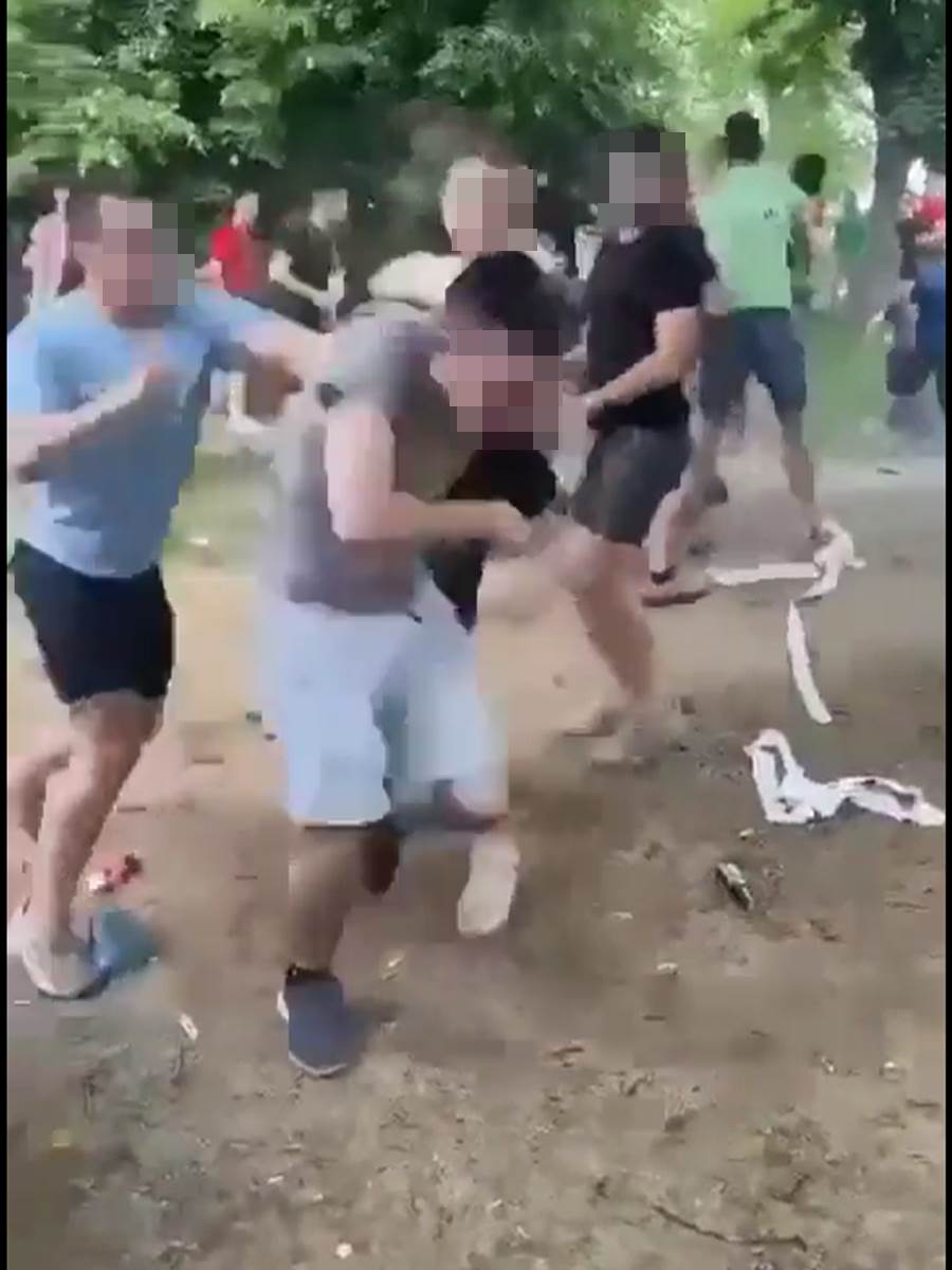 Masovna tuča dece u Zvezdarskoj šumi