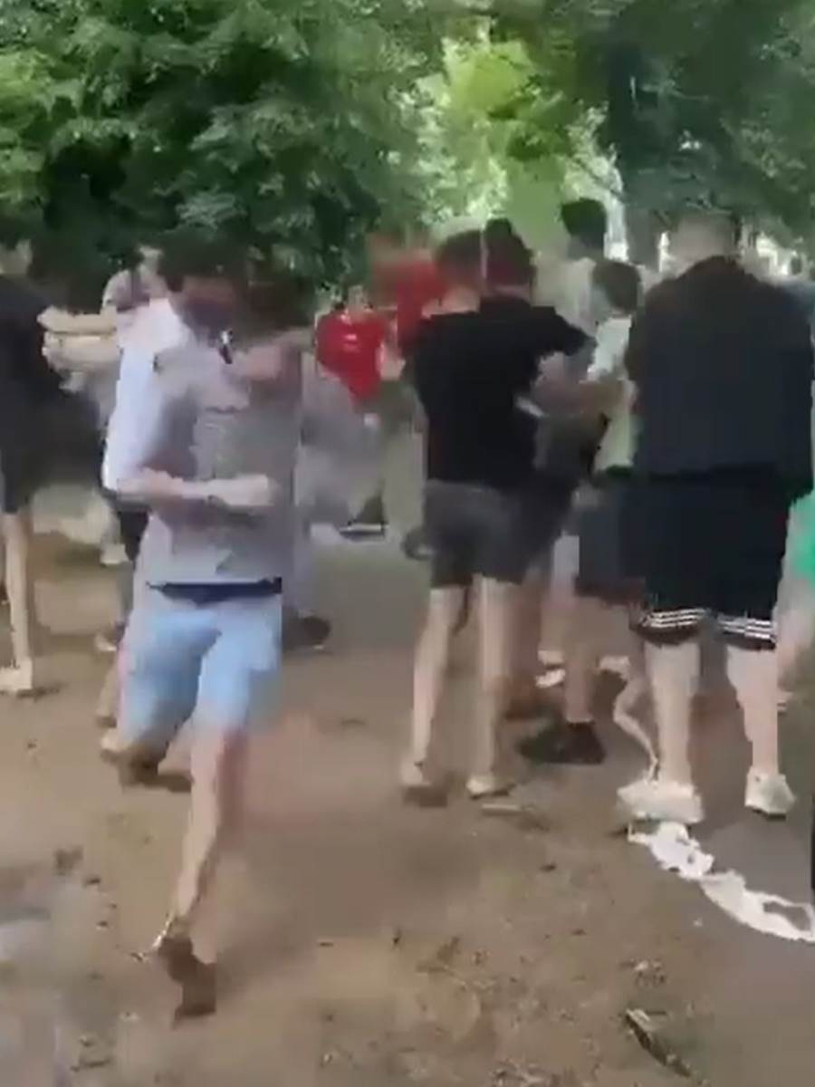 Masovna tuča dece u Zvezdarskoj šumi