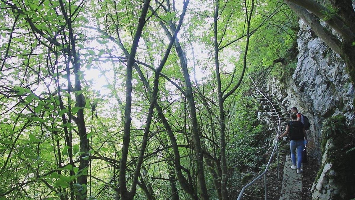 Jeziva priča o Kadjenici (5).jpg