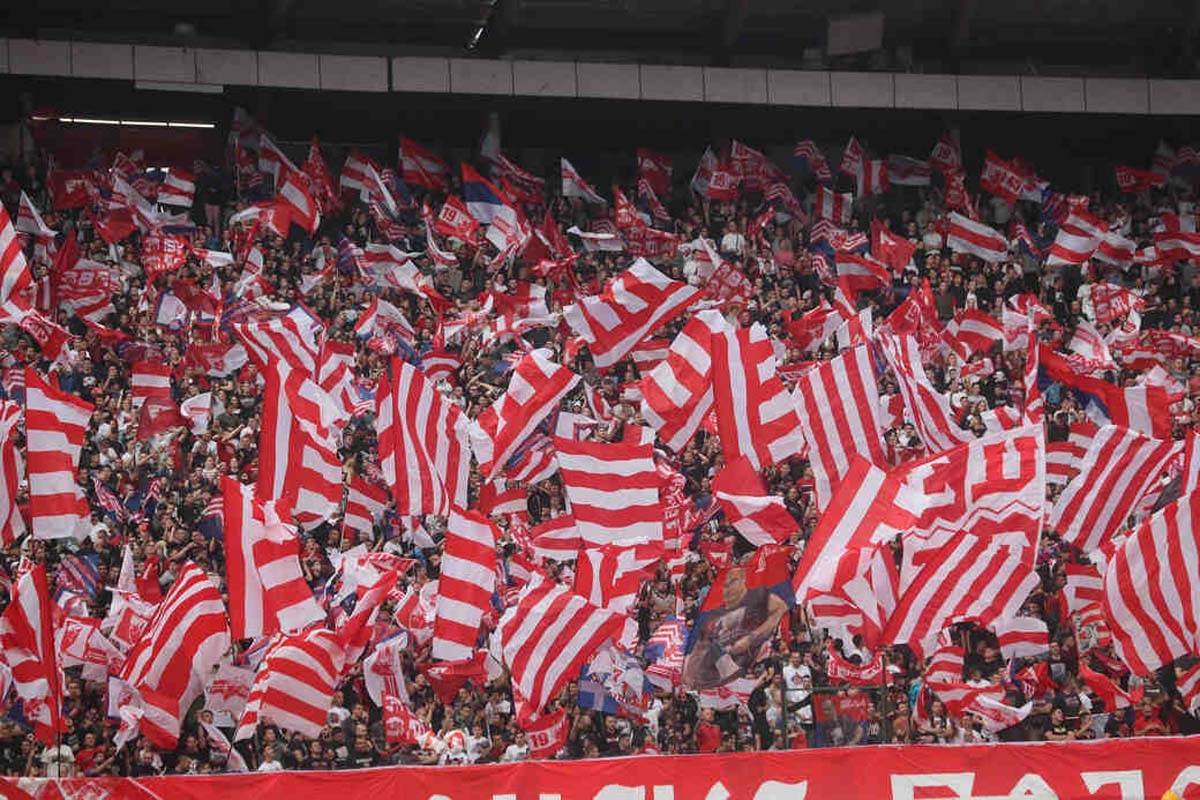 Zvezda Novi Pazar  (1).jpg