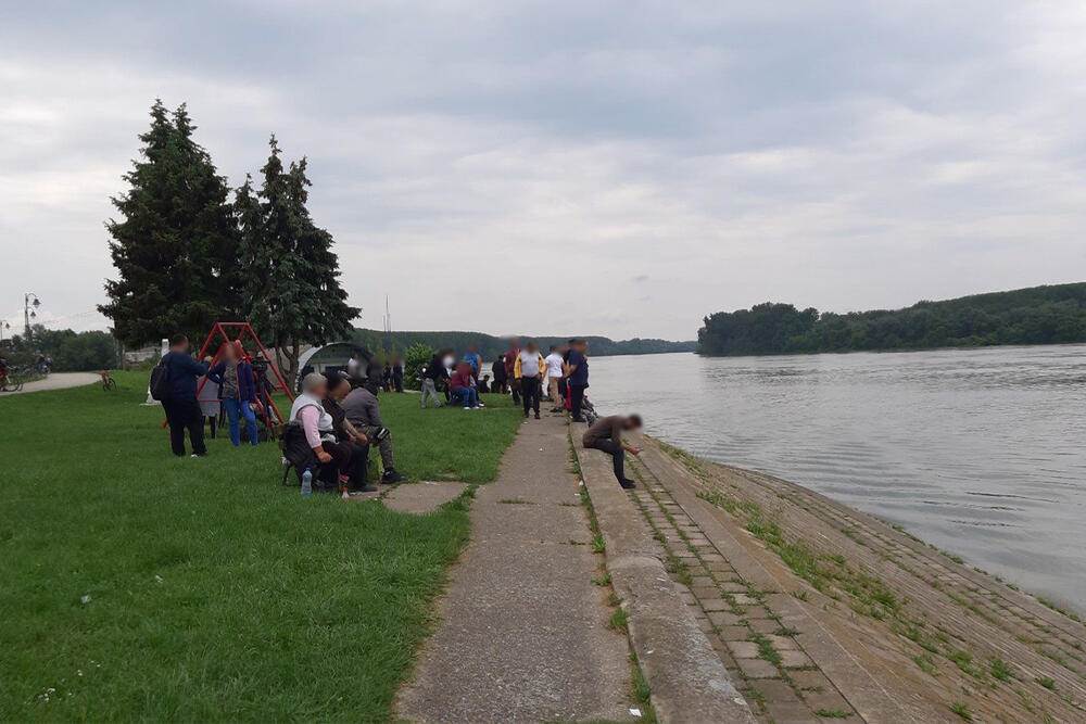 Nestali dečaci Apatin2.jpg