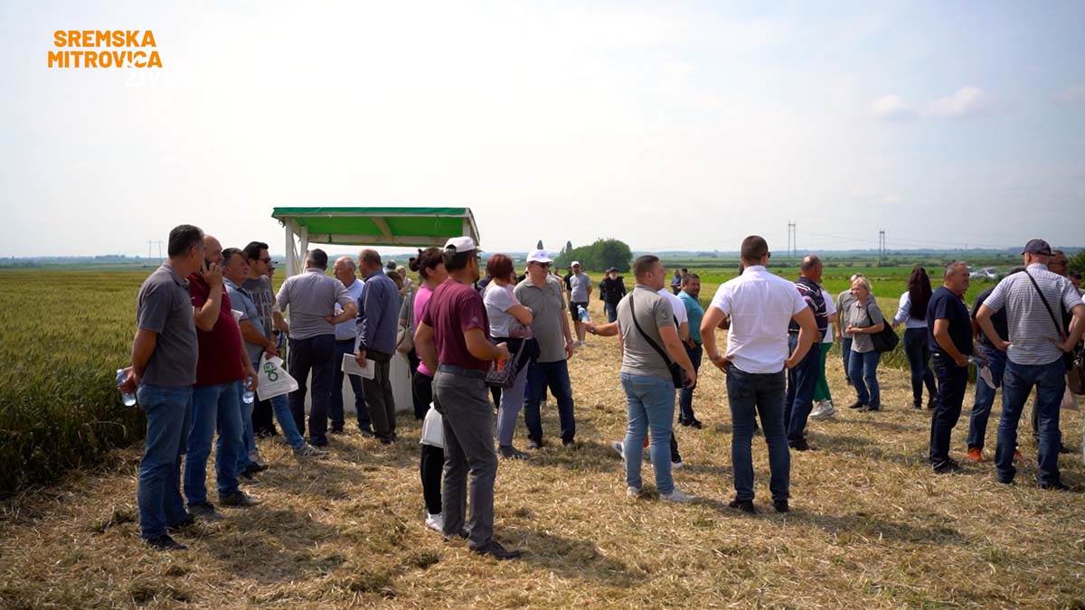 - 16x9.00_00_44_07.Still029.jpg