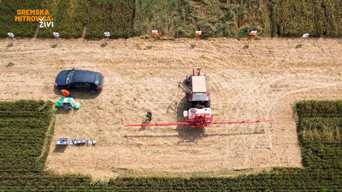 - 16x9.00_00_29_23.Still028.jpg