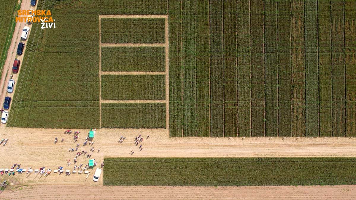 - 16x9.00_00_21_13.Still027.jpg