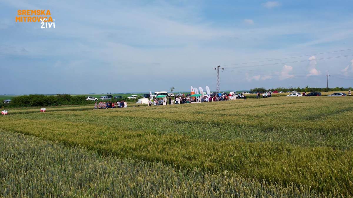 - 16x9.00_00_07_13.Still026.jpg