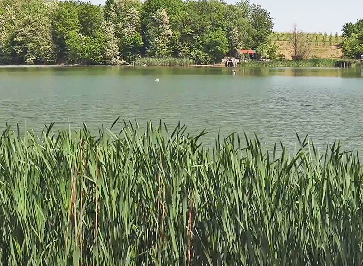 Jezero Moharač (14).png