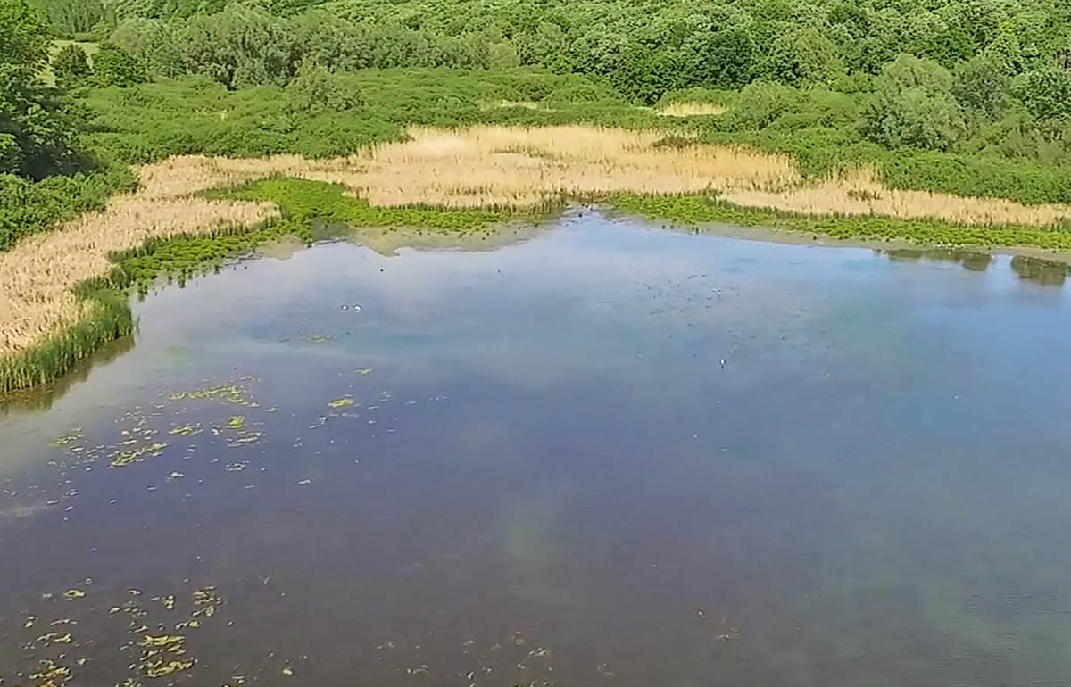 Jezero Moharač (9).png