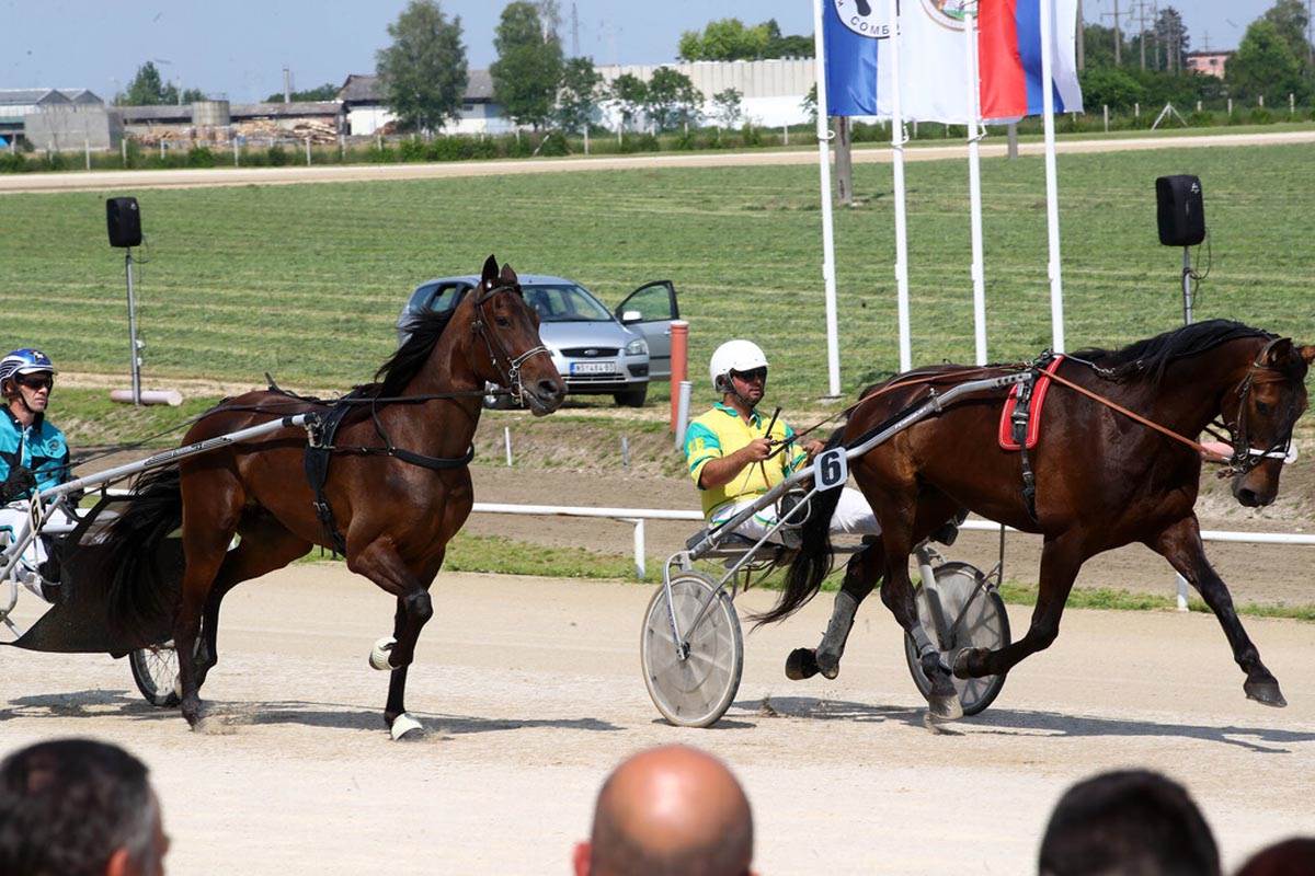 Ćerka Nikole Jokića Ognjena Jokić na hipodromu u Somboru