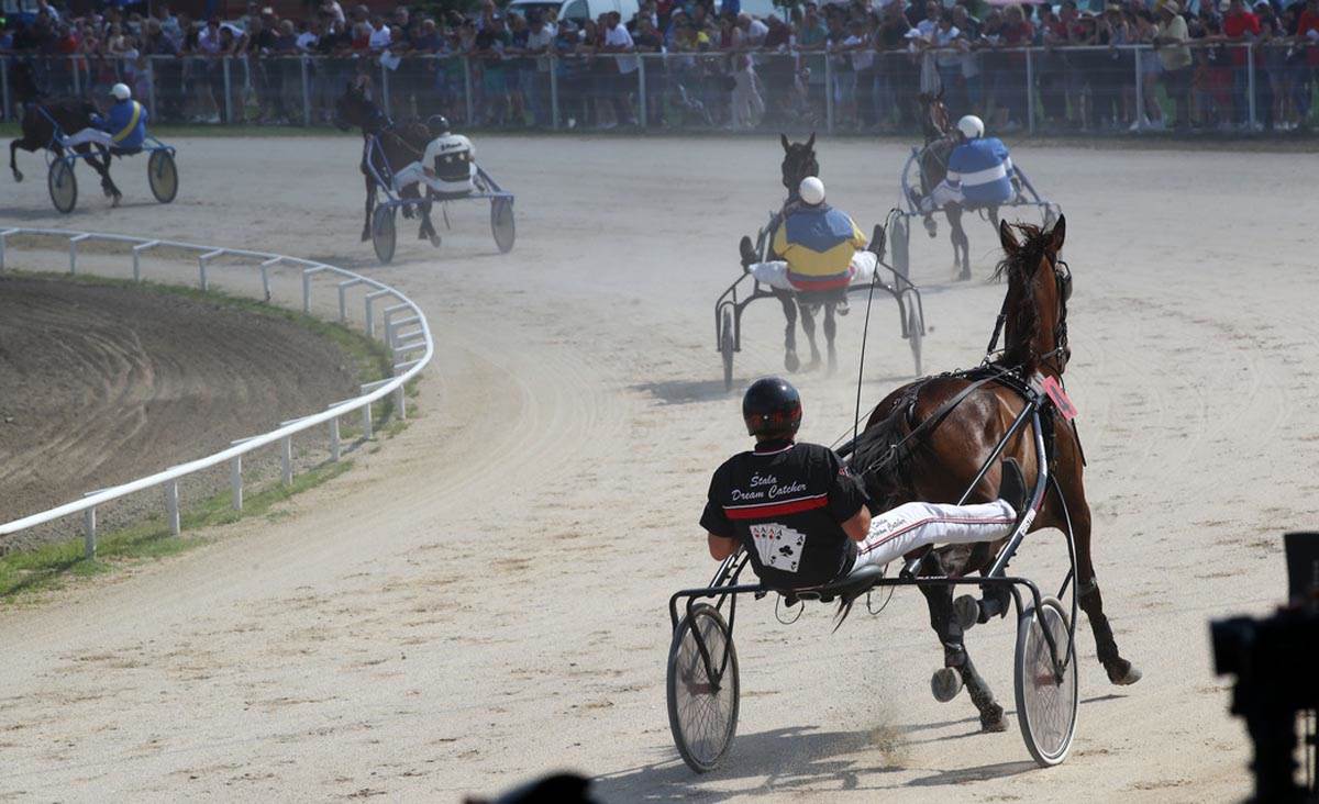 Ćerka Nikole Jokića Ognjena Jokić na hipodromu u Somboru