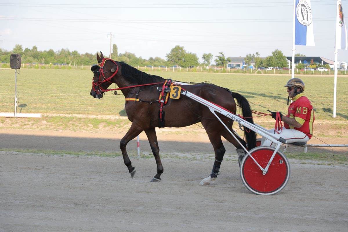 WhatsApp Image 2023-06-18 at 18.43.54 (1).jpg