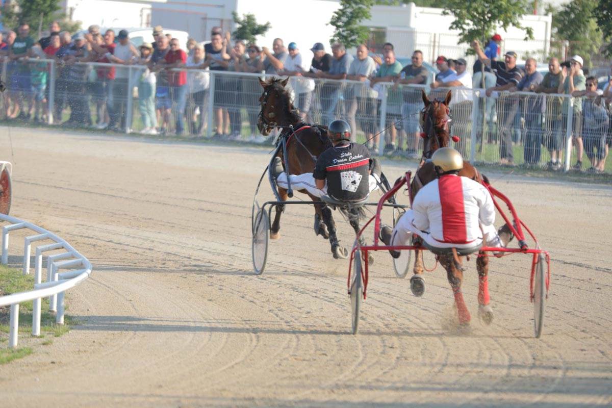 WhatsApp Image 2023-06-18 at 18.43.56.jpg