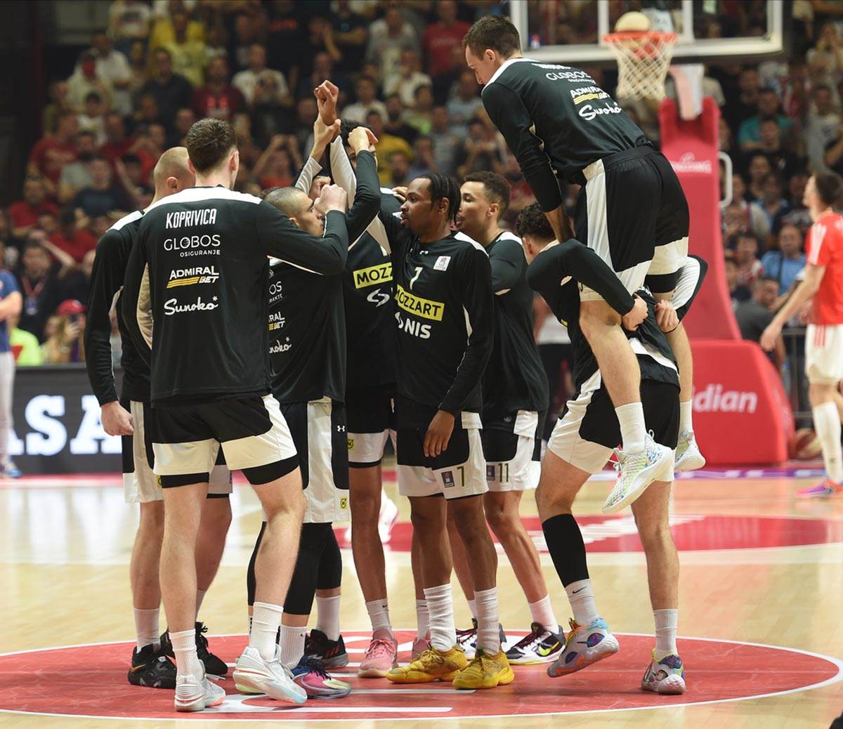 Dejan Davidovac gleda Zvezda Partizan