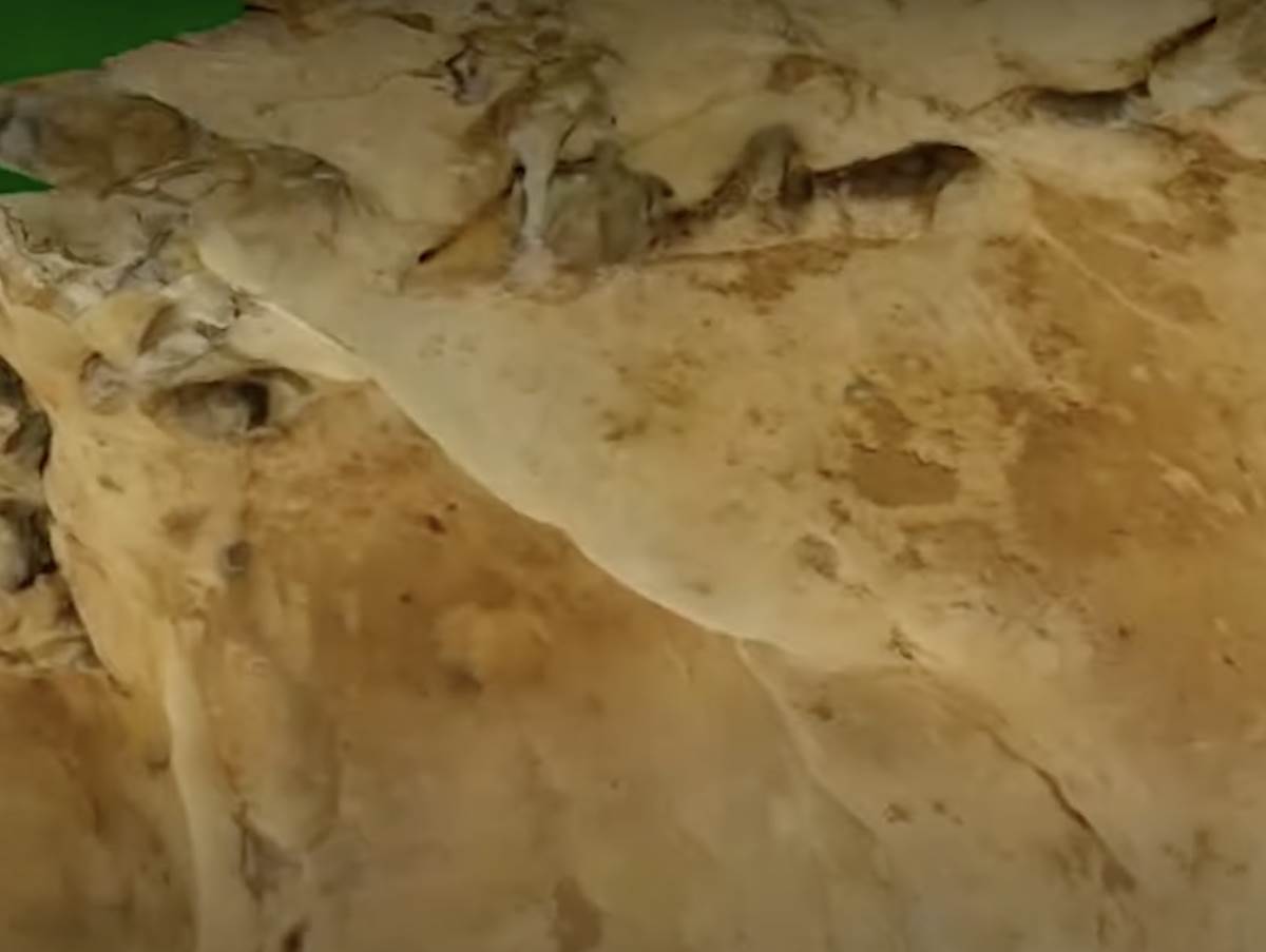 crteži neandertalaca u francuskoj pećini stari 75000 godina 1.jpg