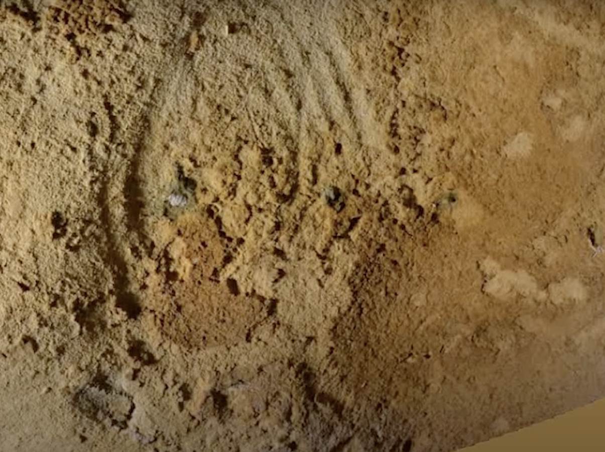 crteži neandertalaca u francuskoj pećini stari 75000 godina 2.png