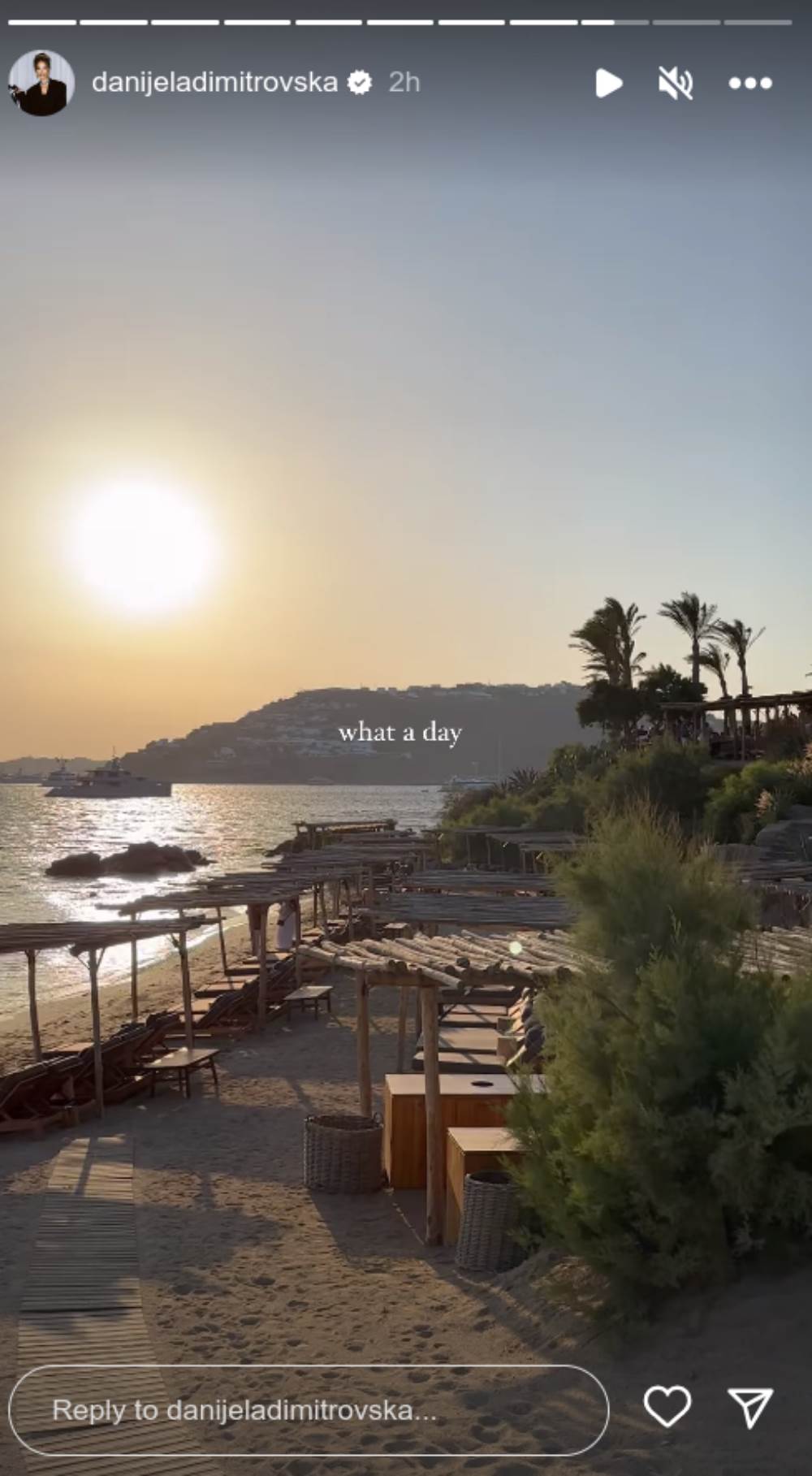 danijela dimitrovska2.png