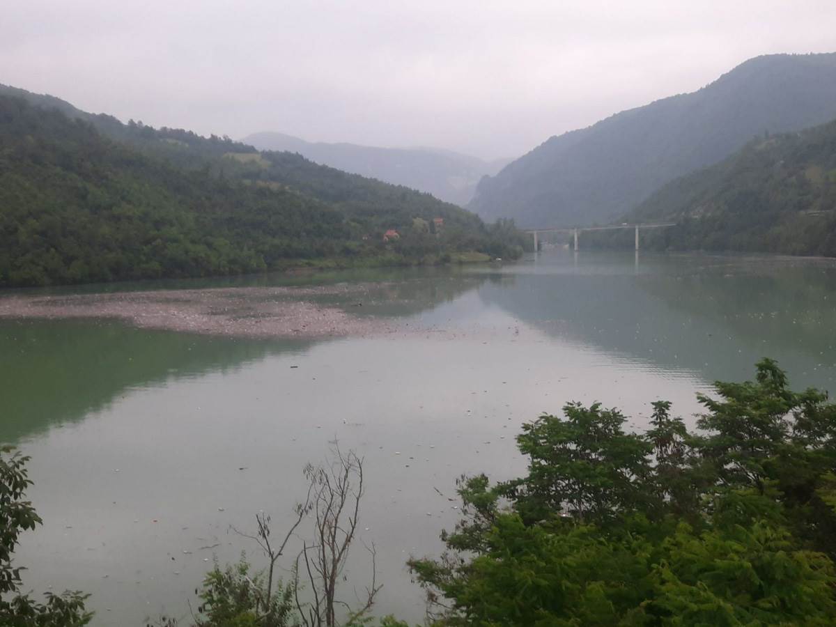 Drina (7).jpg