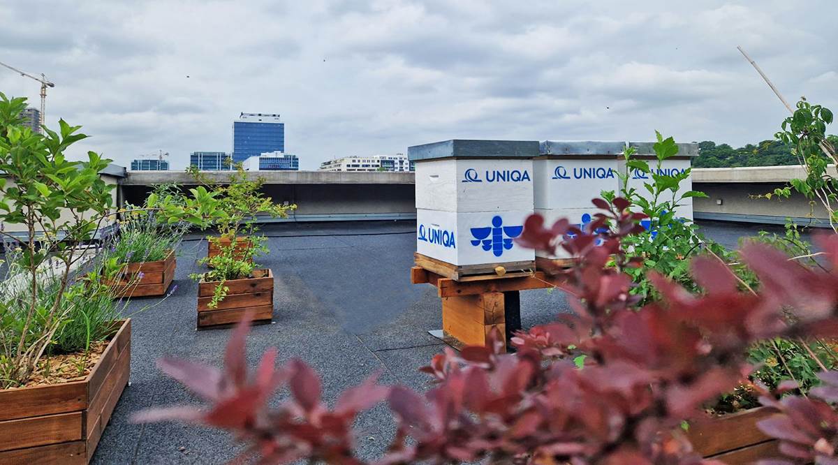 UNIQA hotel za pcele 1.jpg