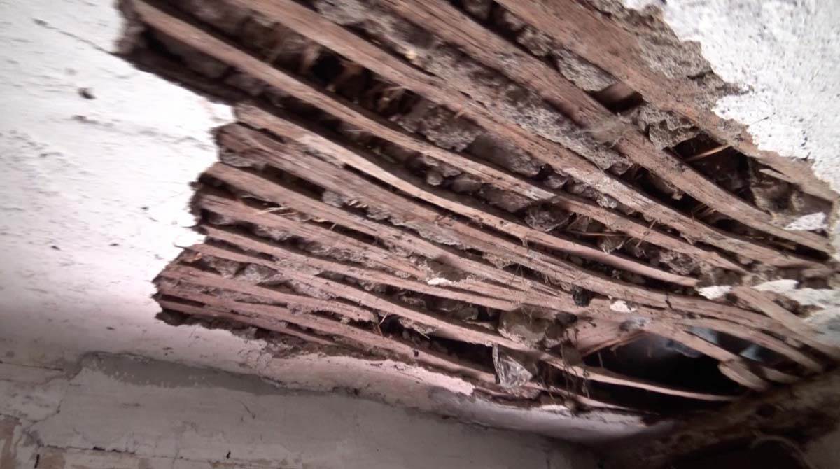 Vlade Timotijević (4).jpg