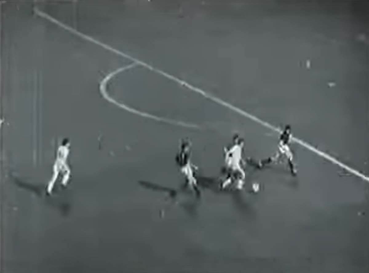 Vahidin Musemić2.jpg