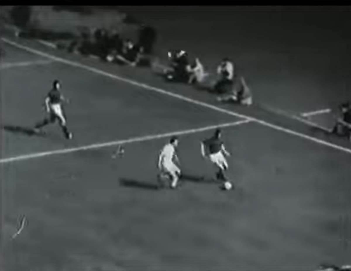 Vahidin Musemić3.jpg