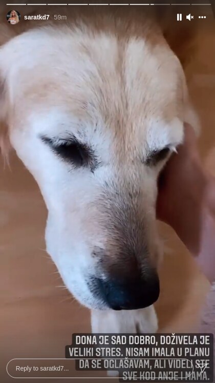 Obijena Kuća Tiktokeri