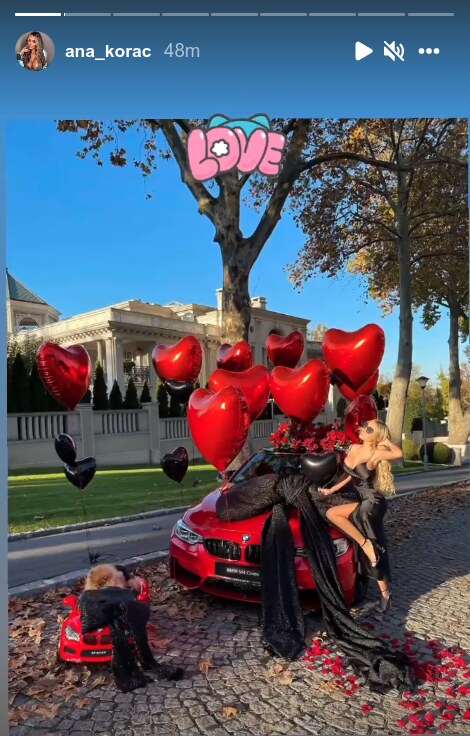 Pas Ane Korać dobio kola