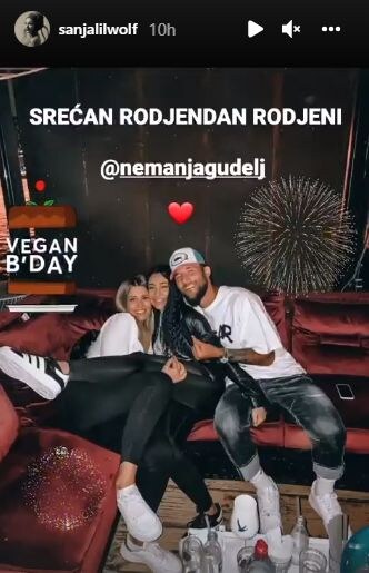 nemanja gudelj sanja vučić