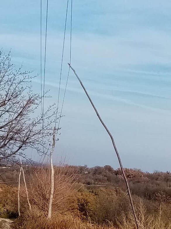 topola donja trnava 2.jpg