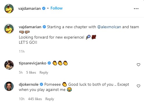 pome.jpg