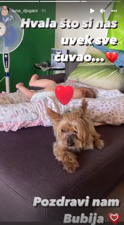 luna pas