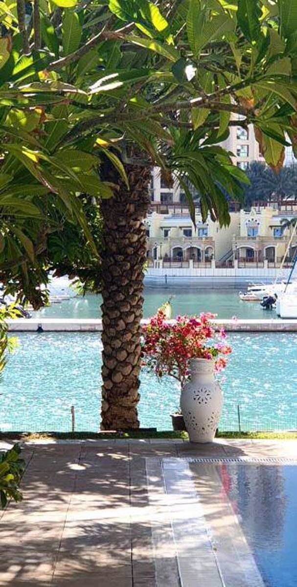 Palata Jelena Bin Drai  1.jpg