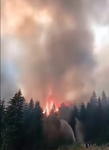 Požar na Kamenoj Gori