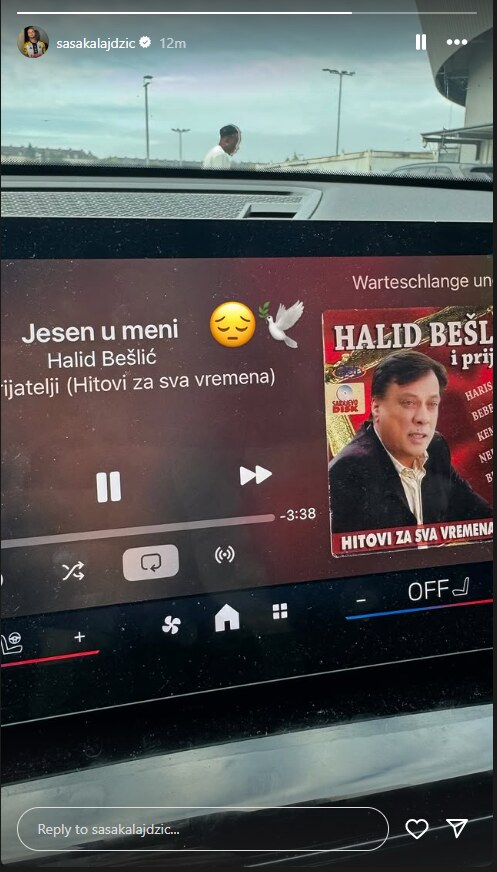 Saša Kalajdžić