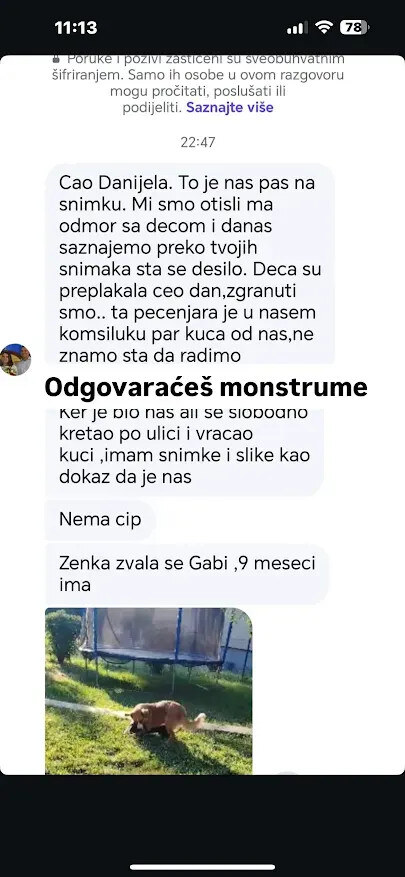 Ubistvo psa.jpg