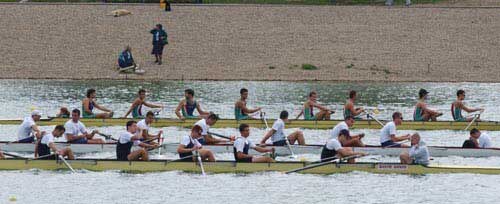 Najbolji evropski veslači u Beogradu