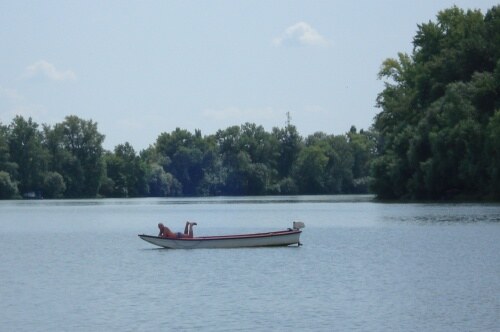 Čamcem plovim sam po Tisi...