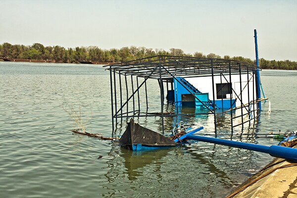 Dunav i Sava se spremaju za leto