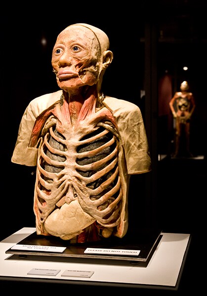 Šta se krije u ljudskom telu