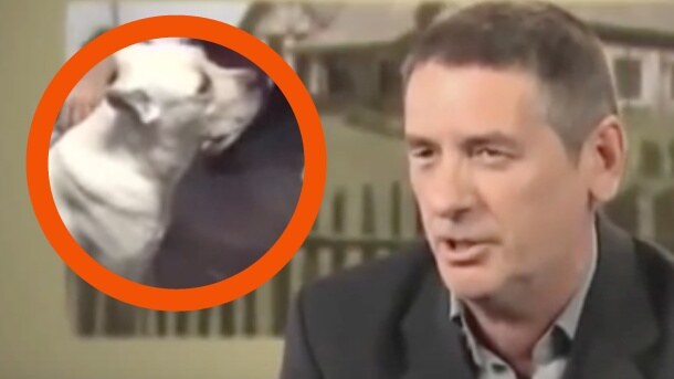 Farma: Udruženja za zaštitu životinja hoće da Dona izađe sa Farme