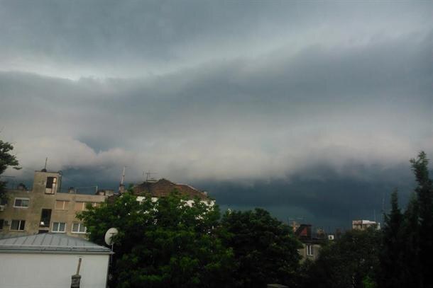 Vetar divljao, obarao drveće po Beogradu  (FOTO)