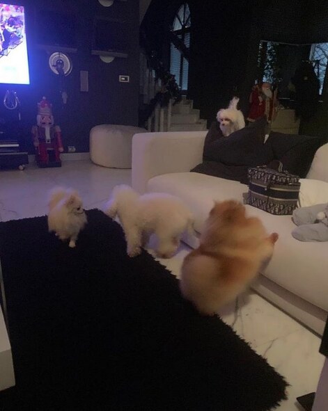 Kako izgleda palata Željka Mitrovića koja je veća od Skupštine i ima 2 lifta?